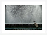 Frame your paper art