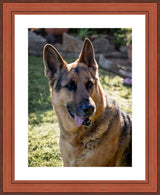 Print & Frame With Matboard & Glass