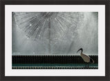 Print & Frame With Matboard & Glass